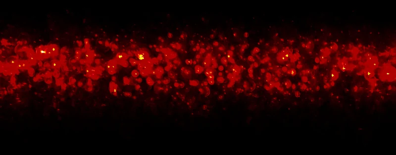 Dimensions of the Line — dust particles illuminated by the red laser